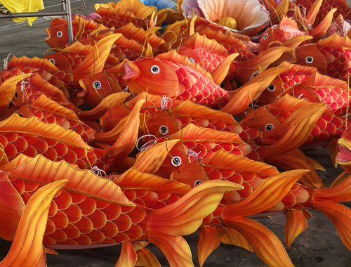 錦鯉魚花燈